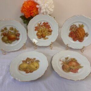 Vintage Winterling Roslau Bavaria Germany Fruit‎ Motif Plate Set – Gold T…